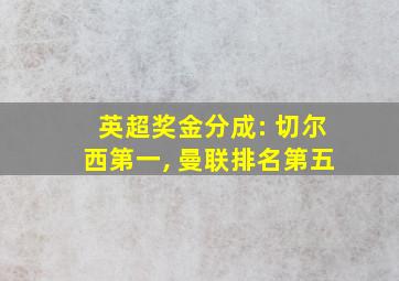 英超奖金分成: 切尔西第一, 曼联排名第五